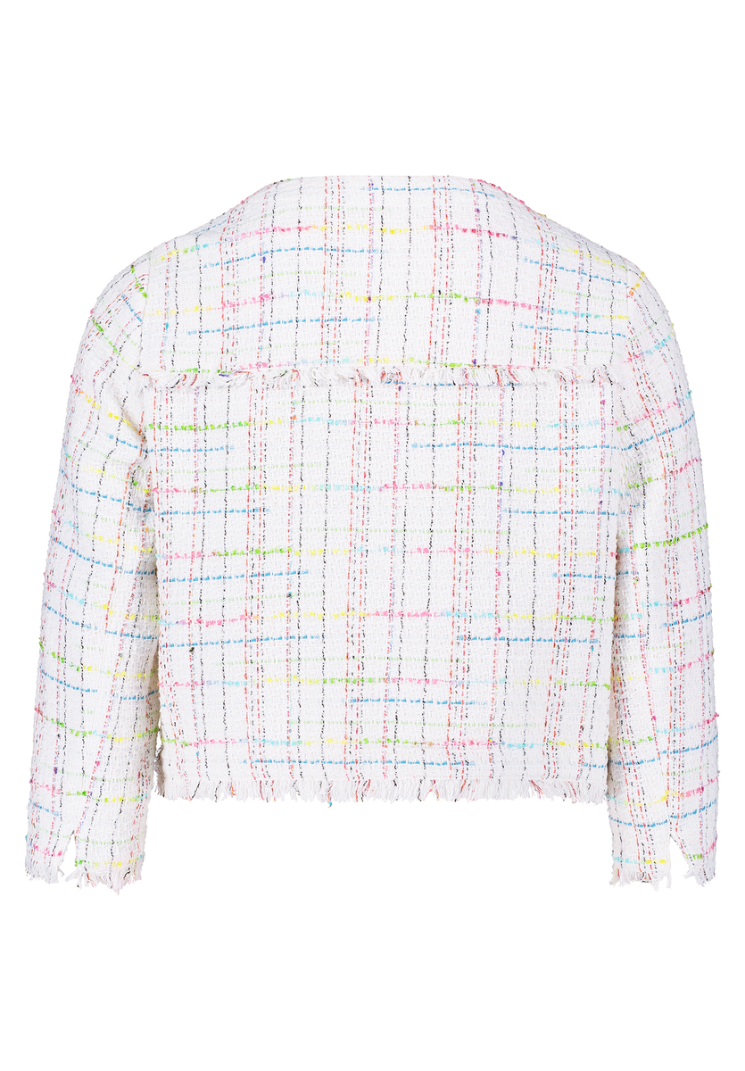Tweedblazer