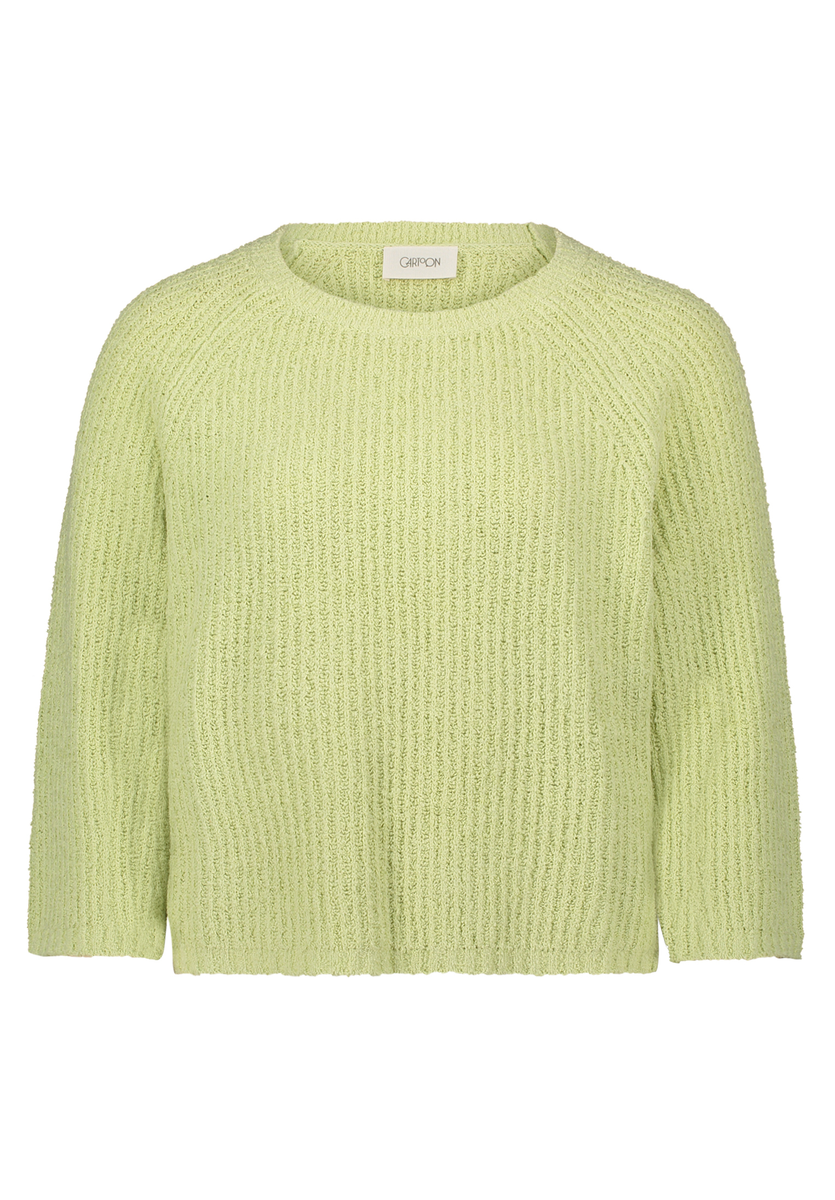 Strickpullover Cartoon