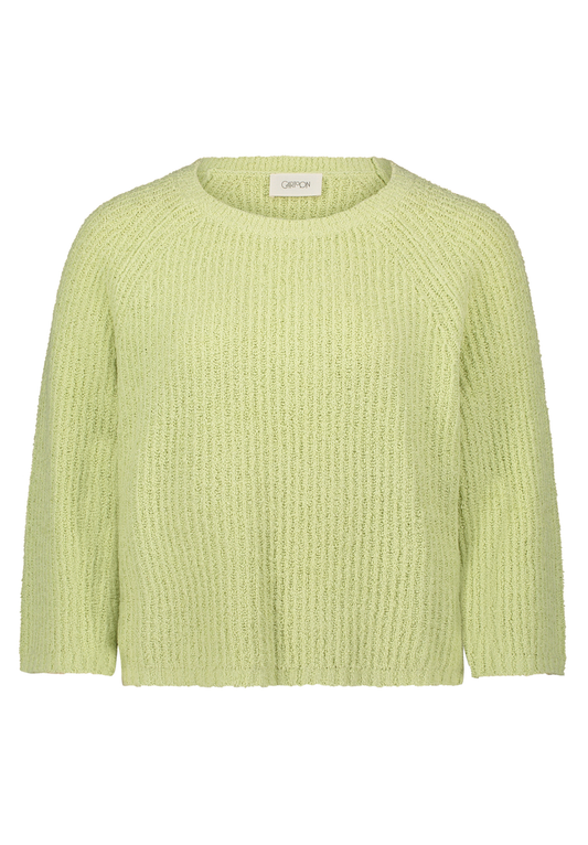 Strickpullover Cartoon