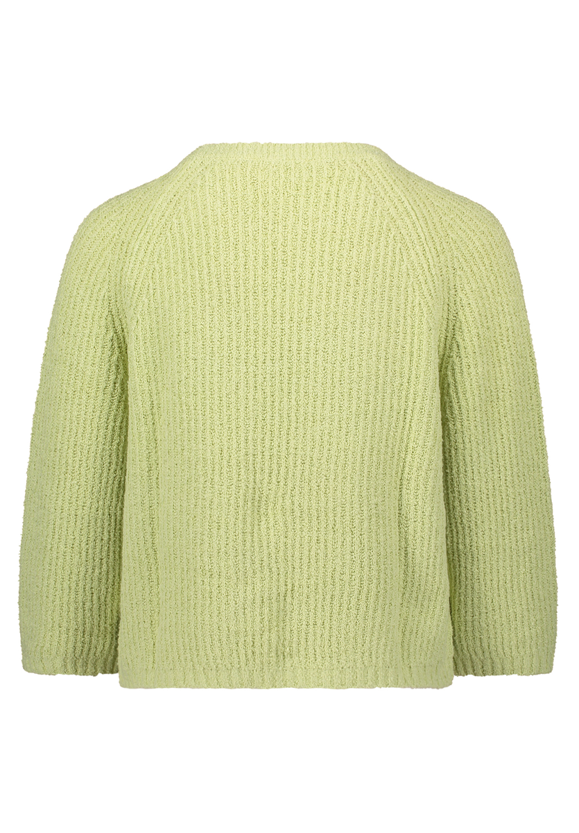 Strickpullover Cartoon