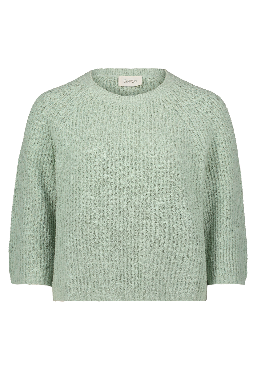 Strickpullover Cartoon