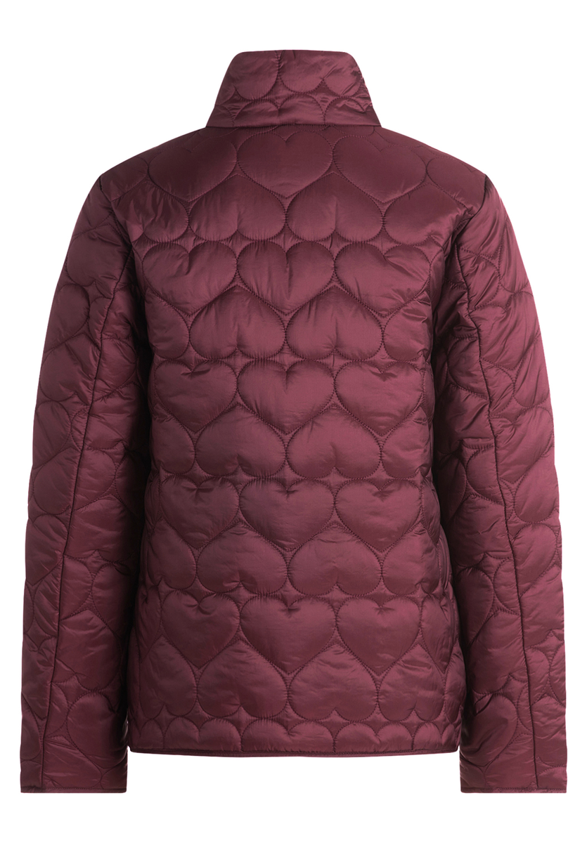 Steppjacke | Cartoon
