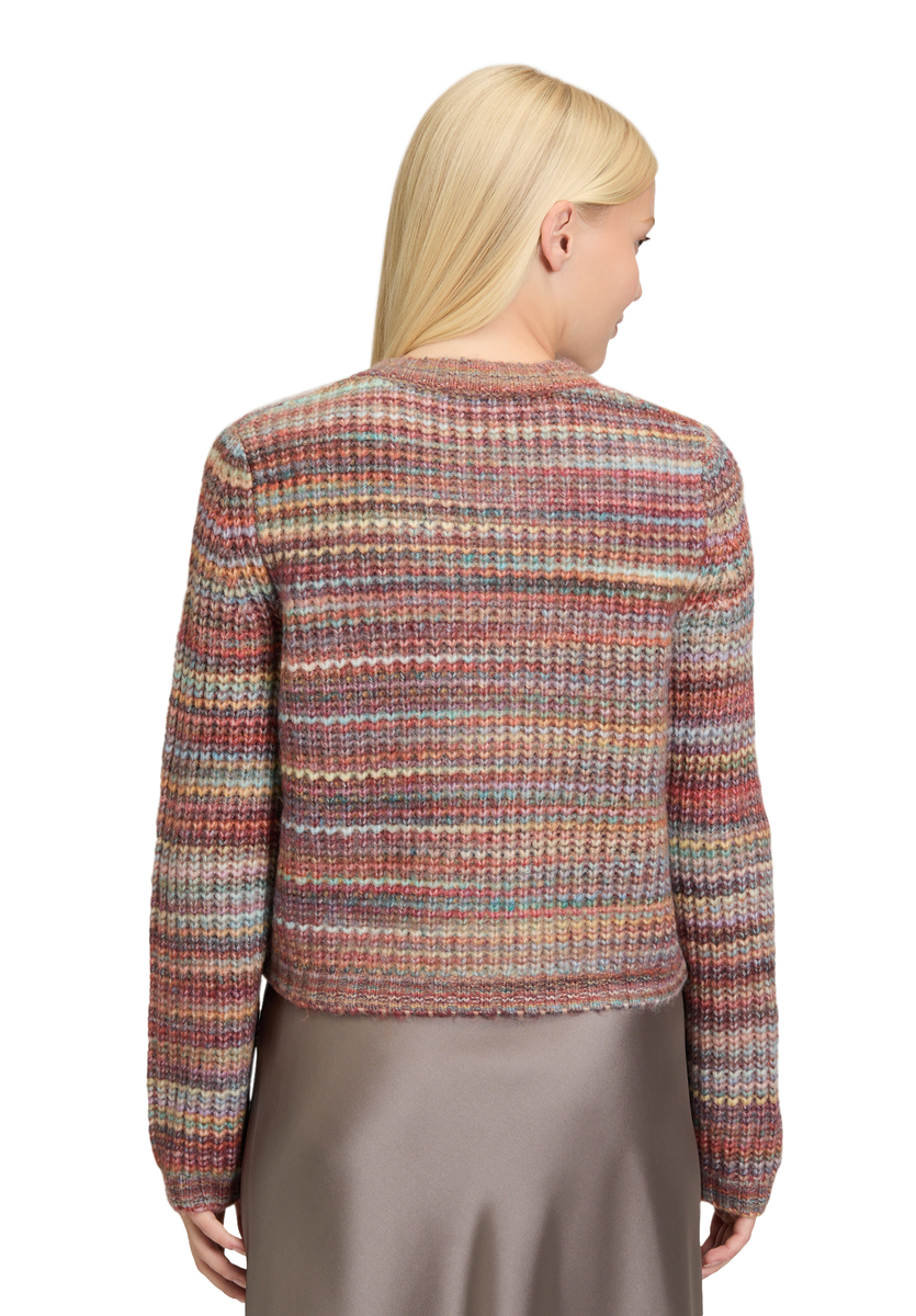 Bunter Cardigan | Cartoon